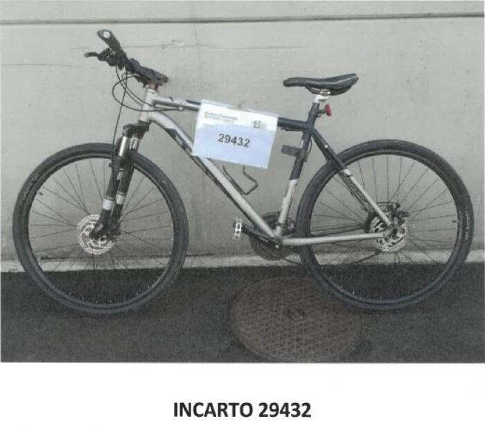 Incarto 29432-Trek grigia.jpg