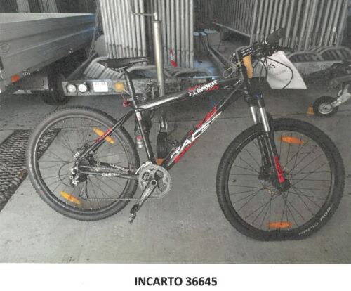 Incarto 36645-Racer Climber.jpg