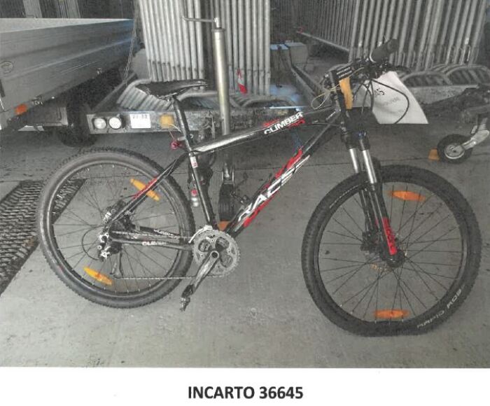 Incarto 36645-Racer Climber.jpg