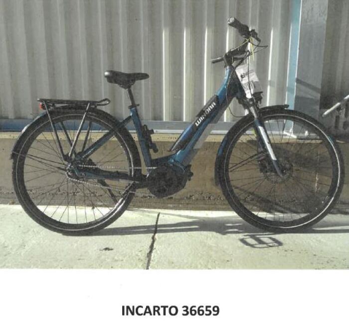 Incarto 36659-Winora Yucatan.jpg