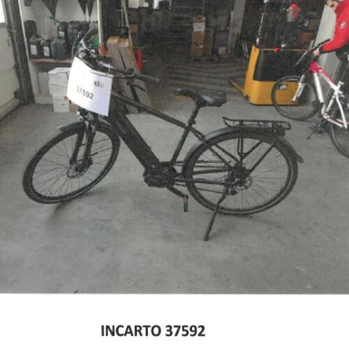 Incarto 37592-Releigh.jpg