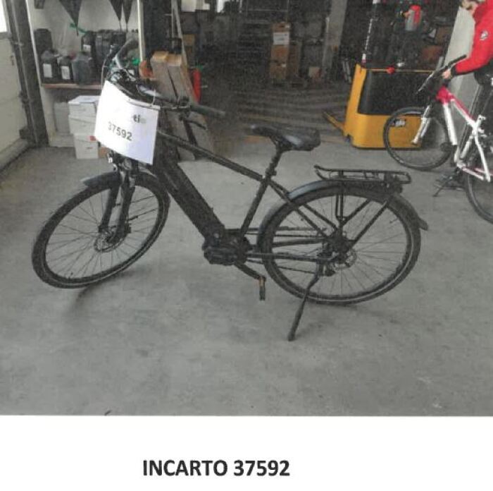 Incarto 37592-Releigh.jpg