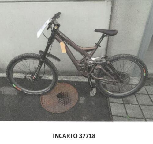 Incarto 37718-Specialized.jpg